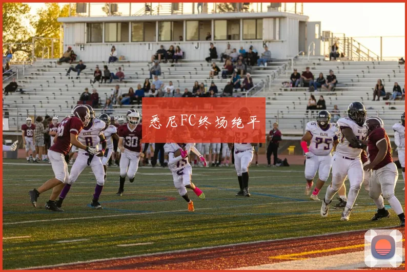 悉尼FC终场绝平