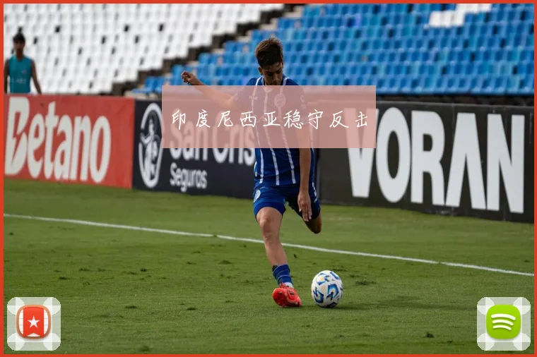 印度尼西亚稳守反击