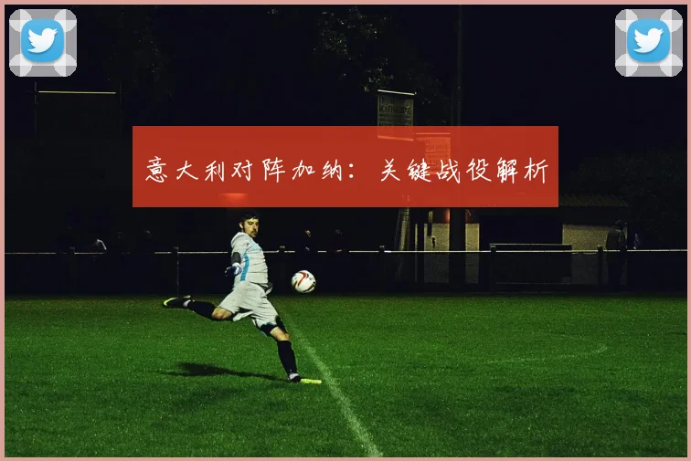 意大利对阵加纳:关键战役解析