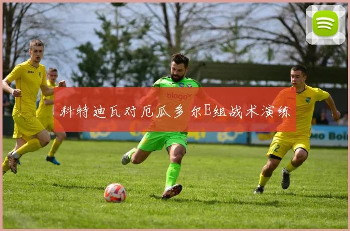 科特迪瓦对厄瓜多尔E组战术演练