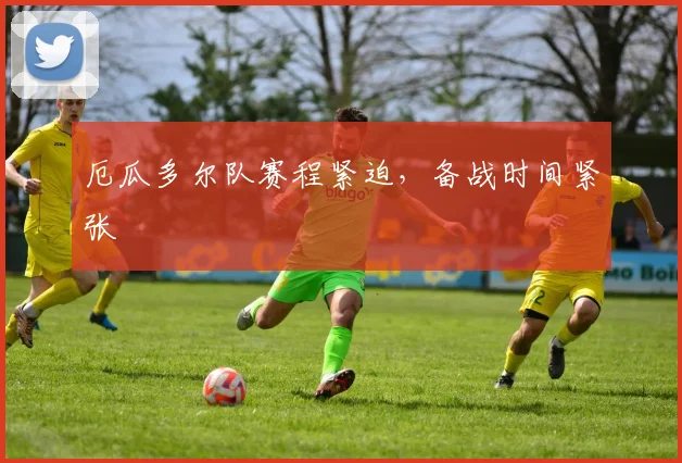 厄瓜多尔队赛程紧迫,备战时间紧张