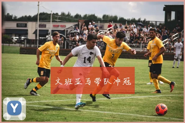 文班亚马带队冲冠