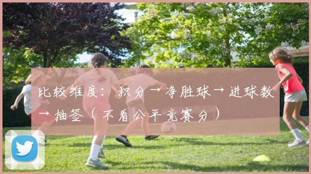 比较维度：积分→净胜球→进球数→抽签（不看公平竞赛分）