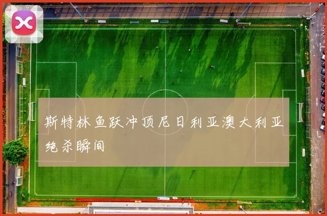 斯特林鱼跃冲顶尼日利亚澳大利亚绝杀瞬间