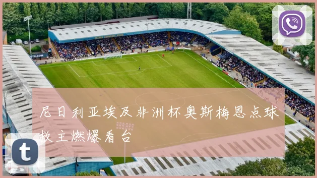 尼日利亚埃及非洲杯奥斯梅恩点球救主燃爆看台