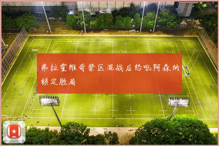 弗拉霍维奇禁区混战后怒吼阿森纳锁定胜局