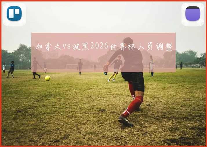 加拿大vs波黑2026世界杯人员调整