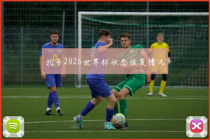 扎卡2026世界杯状态恢复情况