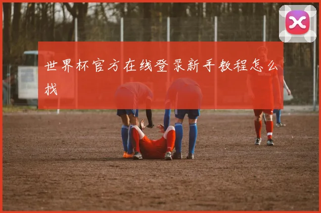 世界杯官方在线登录新手教程怎么找