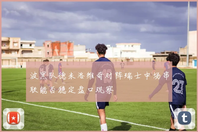波黑队德米洛维奇对阵瑞士中场串联能否稳定盘口观察